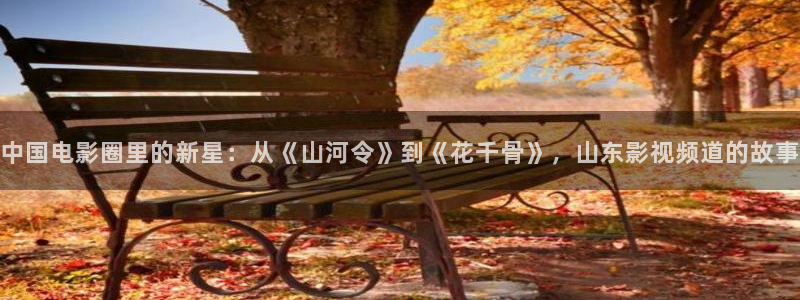金牌銷售電影免費觀看：中國電影圈里的新星：從《山河令》到《花千骨》，山東影視頻道的故事