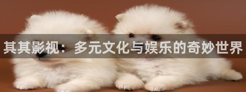 金牌影院最新影視大全